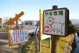 ビビッドタウン関ヶ原ヤギ牧場
