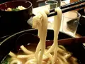 手打うどん けんどん屋の写真_167605