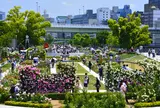 中之島公園