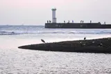 海にやって来ました