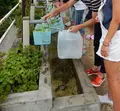 別府弁天池の写真_89670