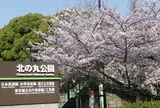 北の丸公園
