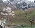 丸山公園の写真_176947