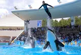 鴨川シーワールド