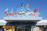 とれとれ市場
