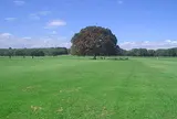 国営昭和記念公園