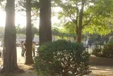 万代池公園