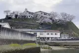 向島