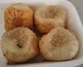 小陽生煎饅頭屋の写真_200846