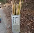 鬼ノ城の写真_124512