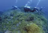 ダイブ宮古島