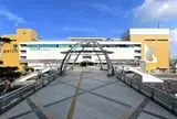 ペルチ土浦