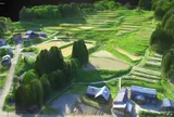 北五百川の棚田