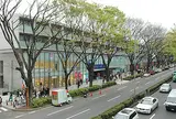 表参道ヒルズ