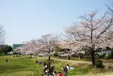 北山公園