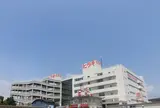 ヒラキ 岩岡店
