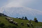 エトナ火山