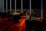 SKY GARDEN 300