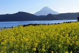 池田湖