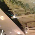 フェブラリーカフェの写真_91178
