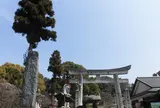 太宰府天満宮