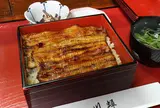 川蝉