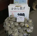 屋島展望台の写真_280291