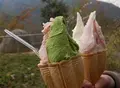 永源寺の写真_67126