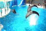 新江ノ島水族館