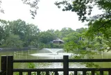 碑文谷公園