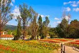 岡山農業公園ドイツの森クローネンベルク