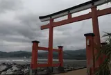 青島