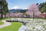 忍野 しのびの里