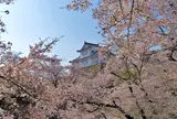 津山城跡（鶴山公園）