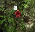 桃太郎神社の写真_96009