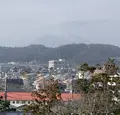旧吉田茂邸の写真_243187