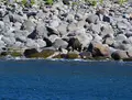 ルシャ湾の写真_410672