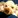 basho