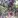 shimanaco