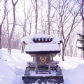天狗山の写真_406506