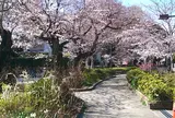 駒繋公園