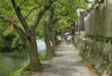八幡川沿いに歩くと気持ちいい