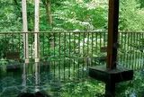 秋川渓谷瀬音の湯 Seotonoyu-Onsen
