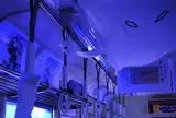 夏の目玉！「妖怪電車」