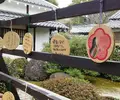 随心院の写真_63327