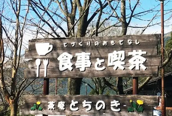 茶庵とちのき