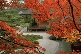 曼殊院門跡