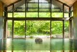 [温泉]星野温泉トンボの湯