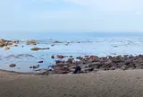 雨晴海岸