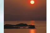 夕陽ヶ丘みかん園